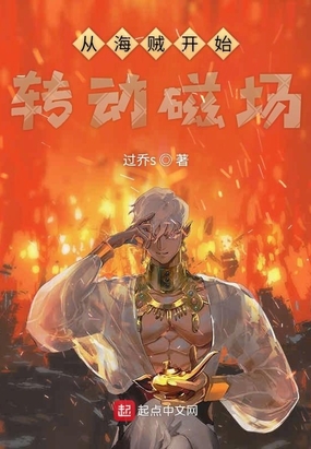 从海贼开始转动磁场