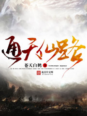 试婚小姐你别逃