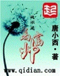 我不是高富帅