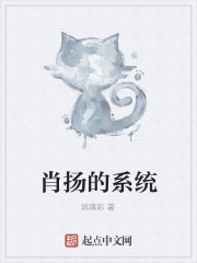 肖扬的系统