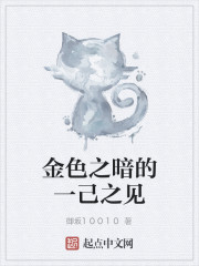 金色之暗的一己之见