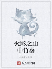 火影之山中竹落