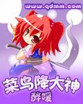 菜鸟降大神