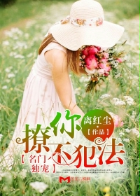九天神尊叶辰楚灵