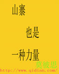 山寨也是一种力量