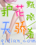 护花天骄