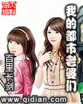 我的都市老婆们