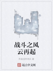 战斗之风云再起