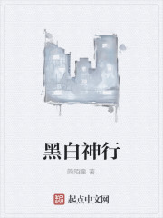 黑白神行