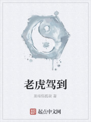 老虎驾到