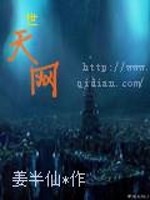 世天网