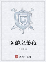 网游之萧夜