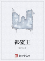 银鲨王