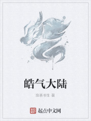 皓气大陆