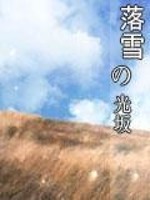 落雪的光坂