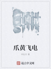 爪黄飞电