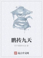 鹏抟九天