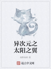 异次元之太阳之翼