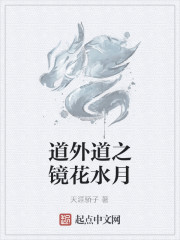 道外道之镜花水月