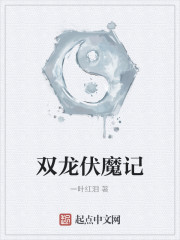 双龙伏魔记