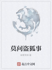 莫问盗狐事