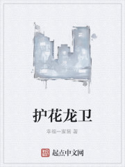 护花龙卫