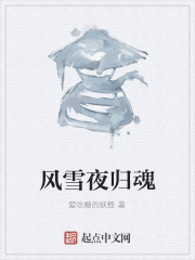风雪夜归魂
