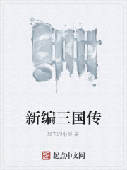 新编三国传