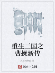 重生三国之曹操新传