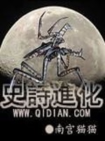 史诗进化