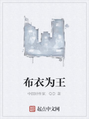 布衣为王