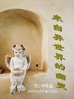 来自异世界的幽灵