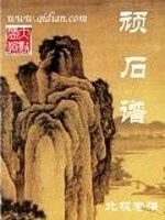 顽石谱