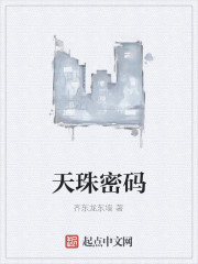 天珠密码