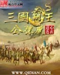 三国霸主公孙康