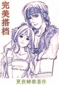 网游之完美搭档