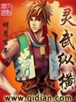 灵武纵横