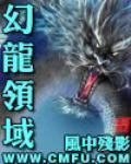 幻龙领域