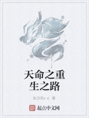 天命之重生之路