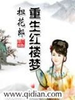 重生红楼梦