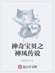 神奇宝贝之神风传说