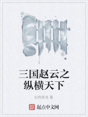 三国赵云之纵横天下
