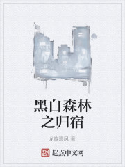 黑白森林之归宿