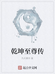 乾坤至尊传