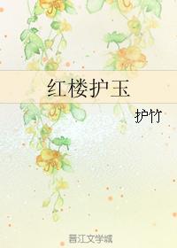 红楼护玉