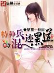 特种兵混迹黑道