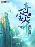 夺宝飞升