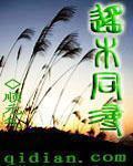 遥木同寻