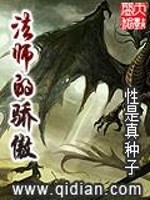 法师的骄傲