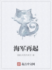海军再起